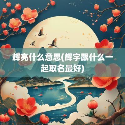 辉亮什么意思(辉字跟什么一起取名最好)