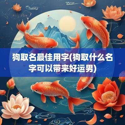 狗取名最佳用字(狗取什么名字可以带来好运男)