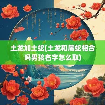 土龙加土蛇(土龙和属蛇相合吗男孩名字怎么取)