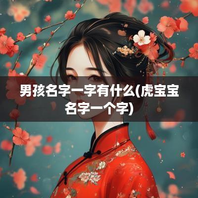男孩名字一字有什么(虎宝宝名字一个字)