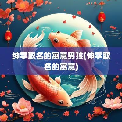绅字取名的寓意男孩(伸字取名的寓意)