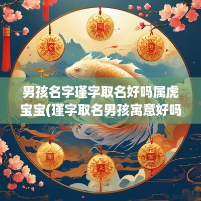 男孩名字瑾字取名好吗属虎宝宝(瑾字取名男孩寓意好吗)