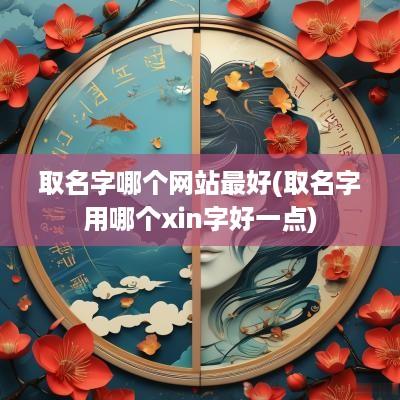 取名字哪个网站最好(取名字用哪个xin字好一点)
