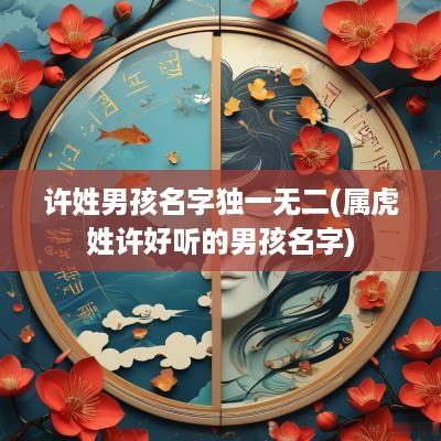 许姓男孩名字独一无二(属虎姓许好听的男孩名字)