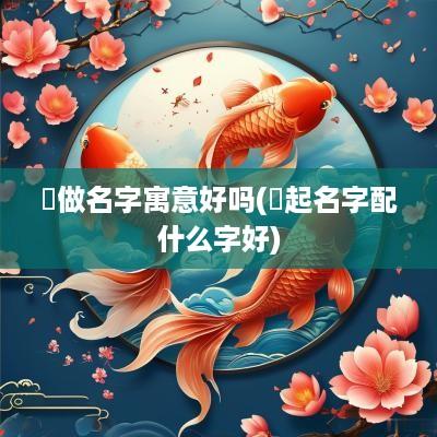 玦做名字寓意好吗(玦起名字配什么字好)