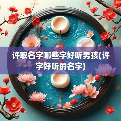 许取名字哪些字好听男孩(许字好听的名字)