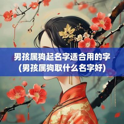 男孩属狗起名字适合用的字(男孩属狗取什么名字好)
