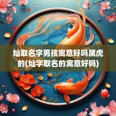 灿取名字男孩寓意好吗属虎的(灿字取名的寓意好吗)