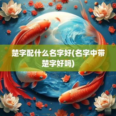 楚字配什么名字好(名字中带楚字好吗)