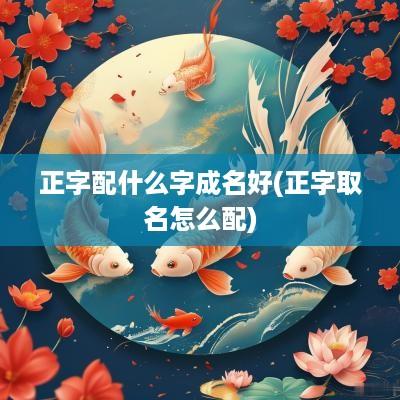 正字配什么字成名好(正字取名怎么配)
