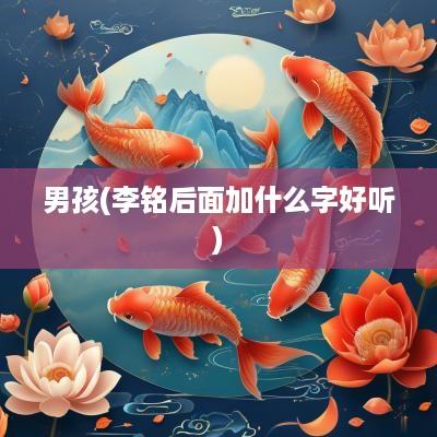 男孩(李铭后面加什么字好听)