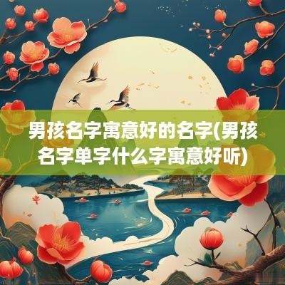 男孩名字寓意好的名字(男孩名字单字什么字寓意好听)