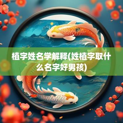 植字姓名学解释(姓植字取什么名字好男孩)