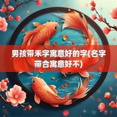男孩带禾字寓意好的字(名字带合寓意好不)