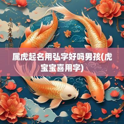 属虎起名用弘字好吗男孩(虎宝宝喜用字)