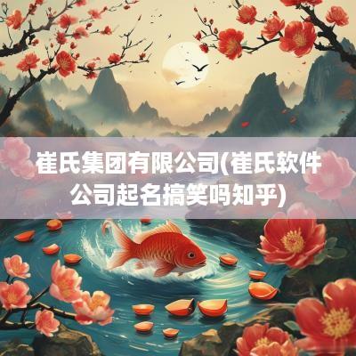 崔氏集团有限公司(崔氏软件公司起名搞笑吗知乎)