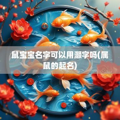 鼠宝宝名字可以用灏字吗(属鼠的起名)