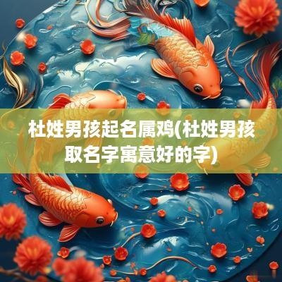杜姓男孩起名属鸡(杜姓男孩取名字寓意好的字)