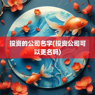 投资的公司名字(投资公司可以更名吗)