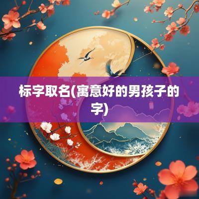 标字取名(寓意好的男孩子的字)