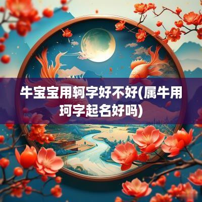 牛宝宝用轲字好不好(属牛用珂字起名好吗)