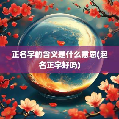 正名字的含义是什么意思(起名正字好吗)