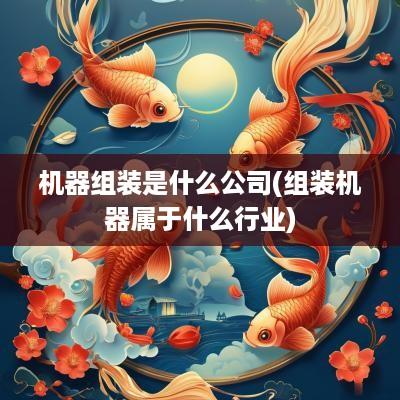 机器组装是什么公司(组装机器属于什么行业)
