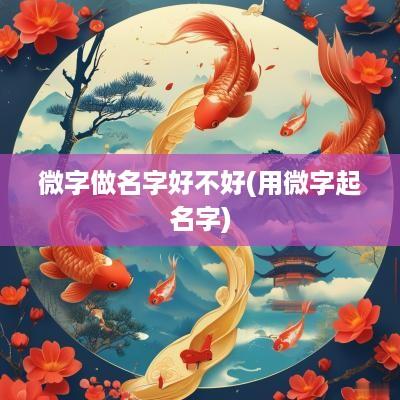 微字做名字好不好(用微字起名字)