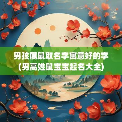 男孩属鼠取名字寓意好的字(男高姓鼠宝宝起名大全)