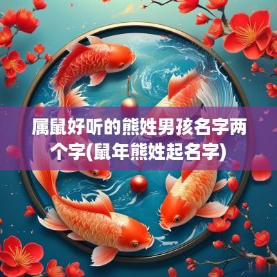 属鼠好听的熊姓男孩名字两个字(蛇年熊姓起名字)