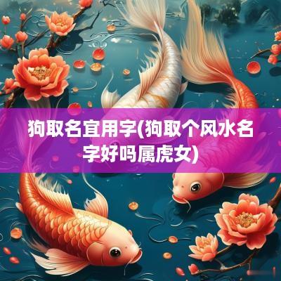 狗取名宜用字(狗取个风水名字好吗属虎女)