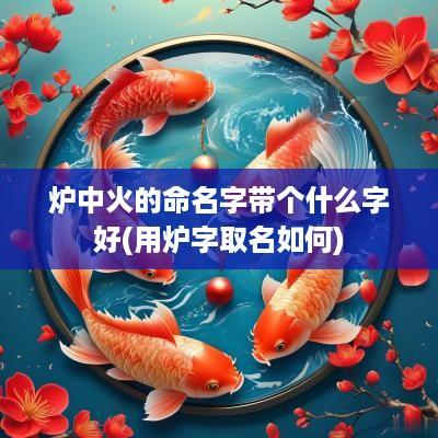 炉中火的命名字带个什么字好(用炉字取名如何)