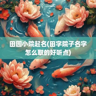 田园小院起名(田字院子名字怎么取的好听点)