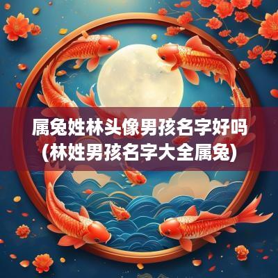 属兔姓林头像男孩名字好吗(林姓男孩名字大全属兔)