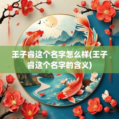 王子睿这个名字怎么样(王子睿这个名字的含义)