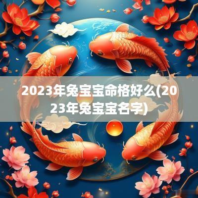 2025年兔宝宝命格好么(2025年兔宝宝名字)