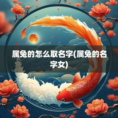 属兔的怎么取名字(属兔的名字女)