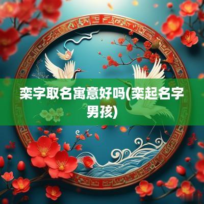 栾字取名寓意好吗(栾起名字男孩)