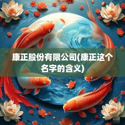 康正股份有限公司(康正这个名字的含义)