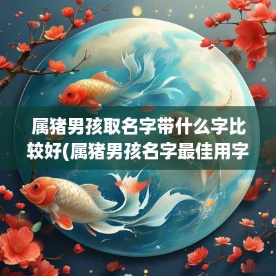 属猪男孩取名字带什么字比较好(属猪男孩名字最佳用字)