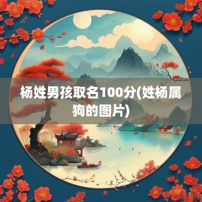 杨姓男孩取名100分(姓杨属狗的图片)