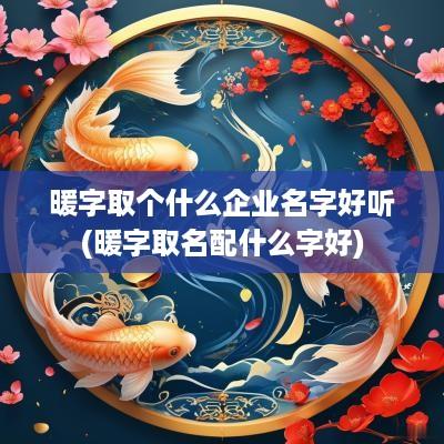 暖字取个什么企业名字好听(暖字取名配什么字好)