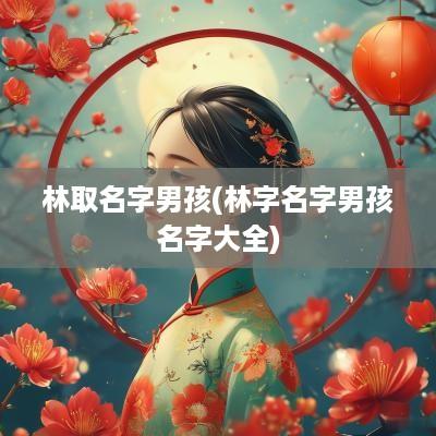林取名字男孩(林字名字男孩名字大全)