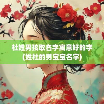 杜姓男孩取名字寓意好的字(姓杜的男宝宝名字)