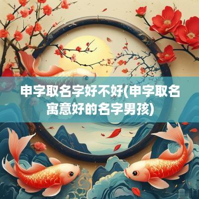 申字取名字好不好(申字取名寓意好的名字男孩)