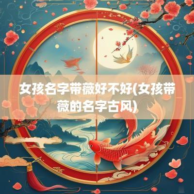 女孩名字带薇好不好(女孩带薇的名字古风)