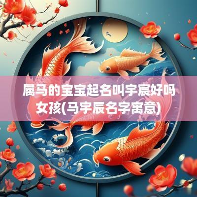 属马的宝宝起名叫宇宸好吗女孩(马宇辰名字寓意)