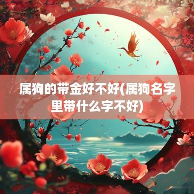 属狗的带金好不好(属狗名字里带什么字不好)