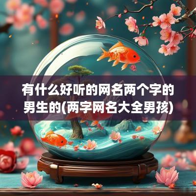 有什么好听的网名两个字的男生的(两字网名大全男孩)