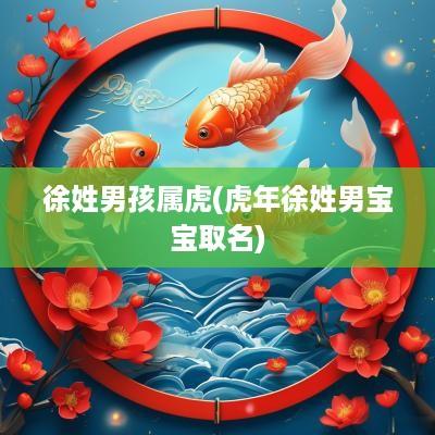 徐姓男孩属虎(蛇年徐姓男宝宝取名)